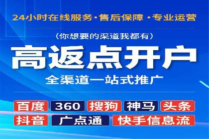 大型企业SEM外包实战案例